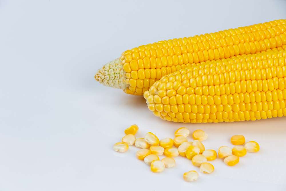 Cara Merawat Alat Pemipil Jagung agar Awet dan Kinerja Optimal