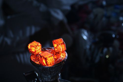 inexpensive shisha charcoal bulk