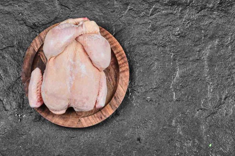 Standar Kualitas Mesin Pencabut Bulu Ayam yang Perlu Diperhatikan