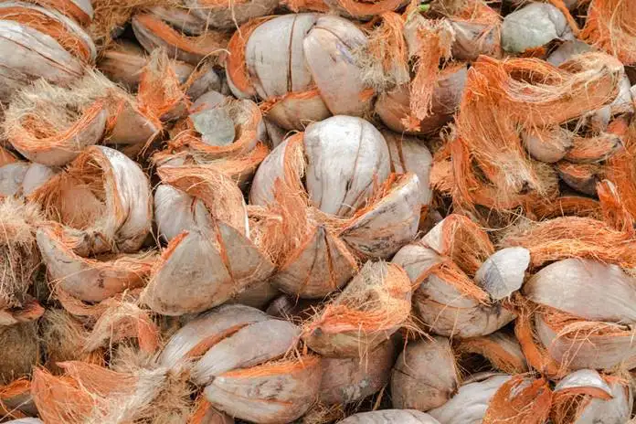 Cara Mengolah Sabut Kelapa Jadi Produk Bernilai Tinggi